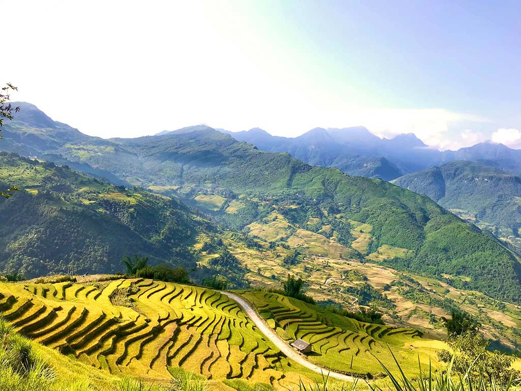 Sapa