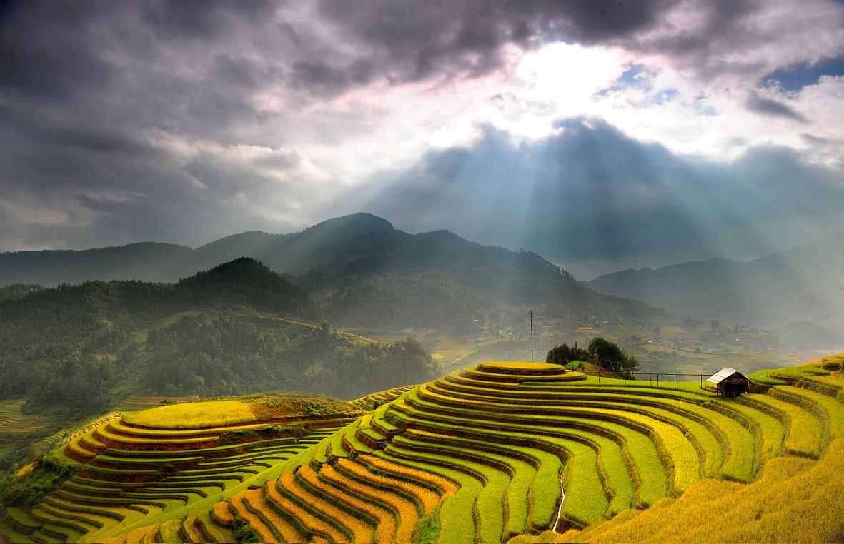 Sapa
